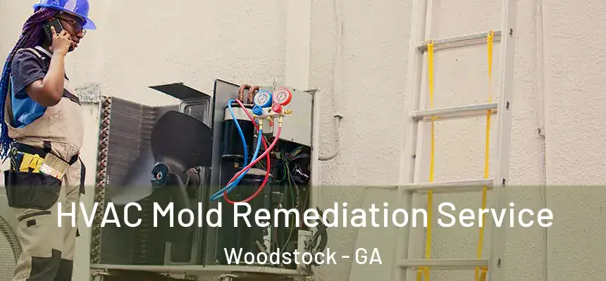  HVAC Mold Remediation Service Woodstock - GA