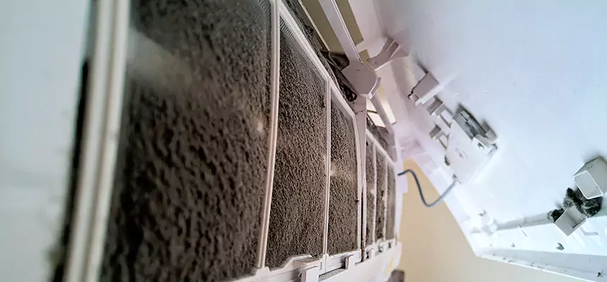 Preventive Air Duct Bacteria Removal in Woodstock