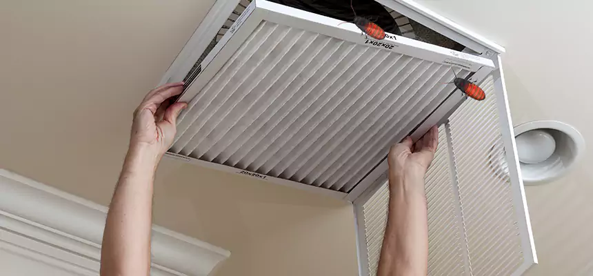 Our Insect Removal from Air Ducts Services in Woodstock, GA