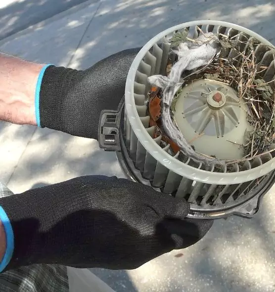 About Air Duct Mice Removal in Woodstock, GA