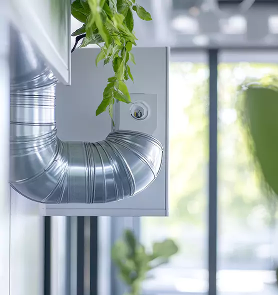 Professional Eco-Safe Dryer Vent Cleaning in Woodstock, GA