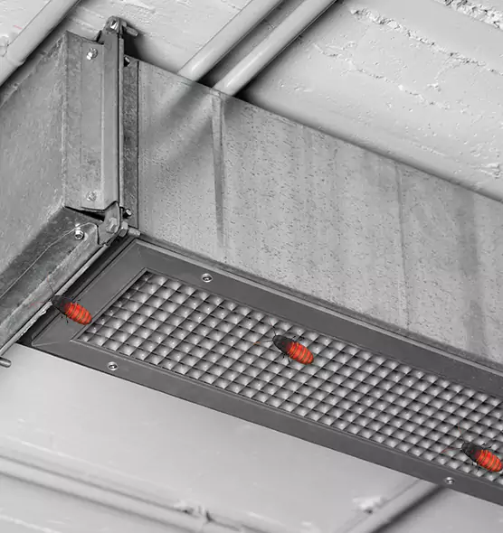 Affordable Insect Removal from Air Ducts in Woodstock, GA