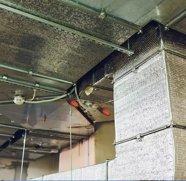 Why Homeowners & Businesses Trust Us in Woodstock, GA?