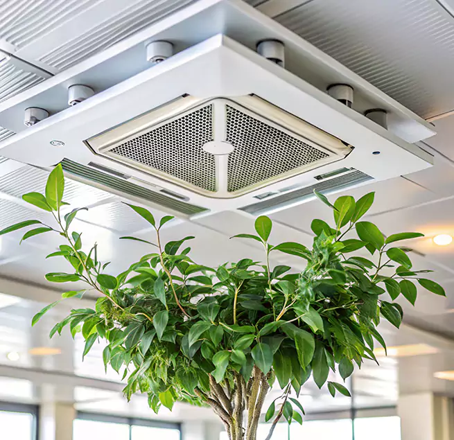 Why Homeowners & Businesses Trust Us in Woodstock, GA?