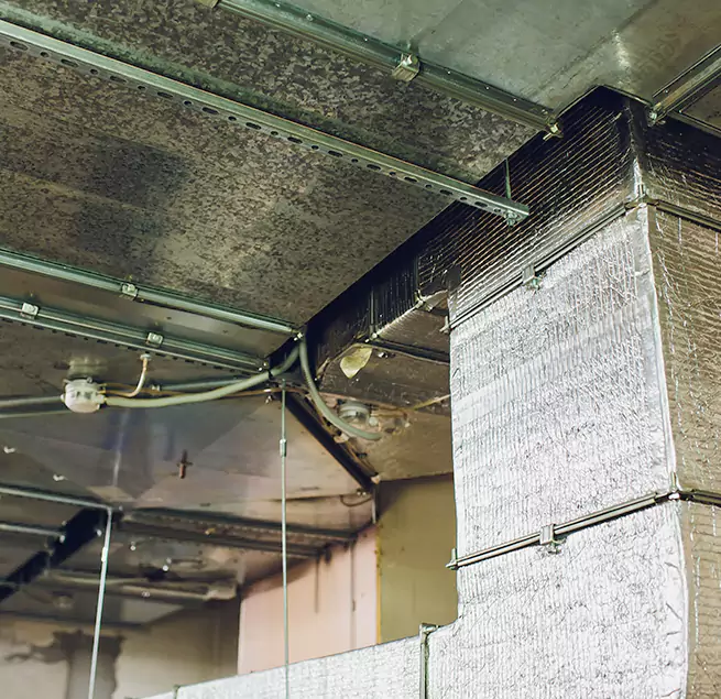 Why Homeowners & Businesses Trust Us in Woodstock, GA?